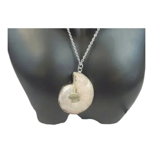 Ammonite Fossil Shell with Silver Plating - Picture 6 of 15